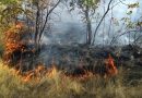🔥Трёхдневный пожар в районе села Благодатного глава района назвал недопустимым бездействием