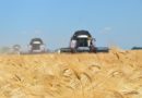 🌾Урожай зерна в Саратовской области достиг 3 млн тонн