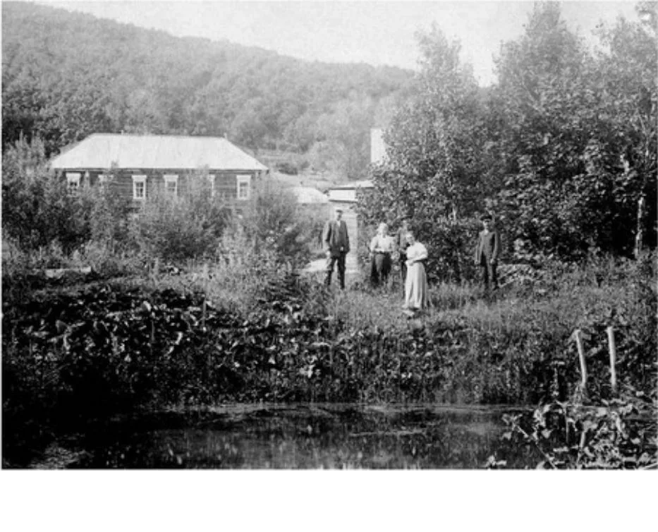 Река черемшан димитровград. Фото черемшана татарстан. Хвалынск санаторий черемшаны. Санаторий черемшаны 2. Деревни черемшаны.