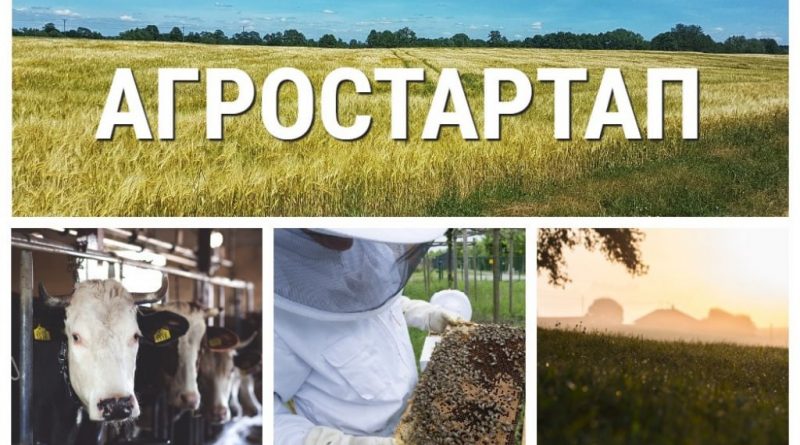 ⚡От полутора до семи миллионов рублей могут получить жители Саратовской области на стартапы в агробизнесе