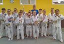 13 спортсменов из Хвалынска завоевали призовые награды на Чемпионате и Первенстве области по айкидо в городе Энгельс 12 апреля.