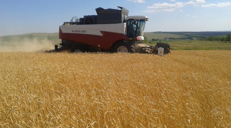 🌾На полях района🌾