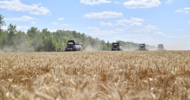 Саратовские аграрии собрали 4,5 млн тонн зерна.