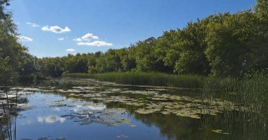 💧Терешка: жемчужина нашего края 💧Терешка: жемчужина нашего края