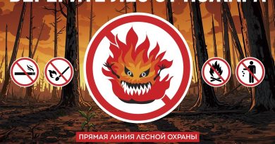 🔥🌳Причина 90% лесных пожаров — результат действий человека 🔥🌳Причина 90% лесных пожаров — результат действий человека