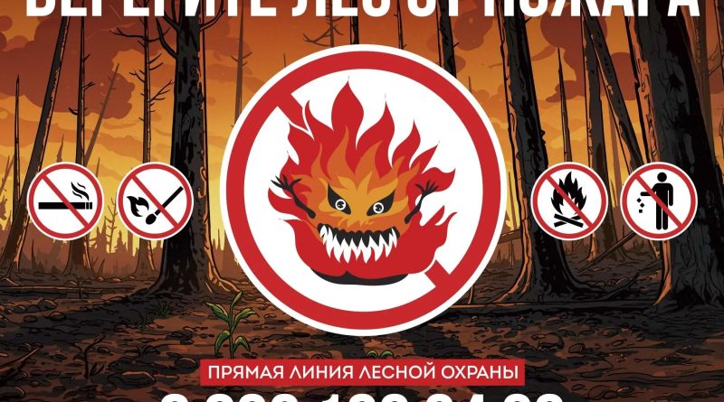 🔥🌳Причина 90% лесных пожаров — результат действий человека